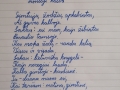 IMG_20240307_195607