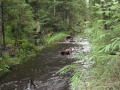 dscf0202