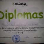 Skautai5g